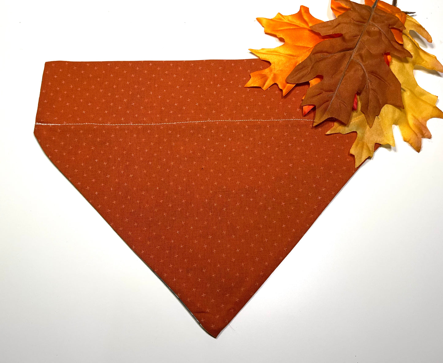 Rust on Old Tan Truck with Pumpkins