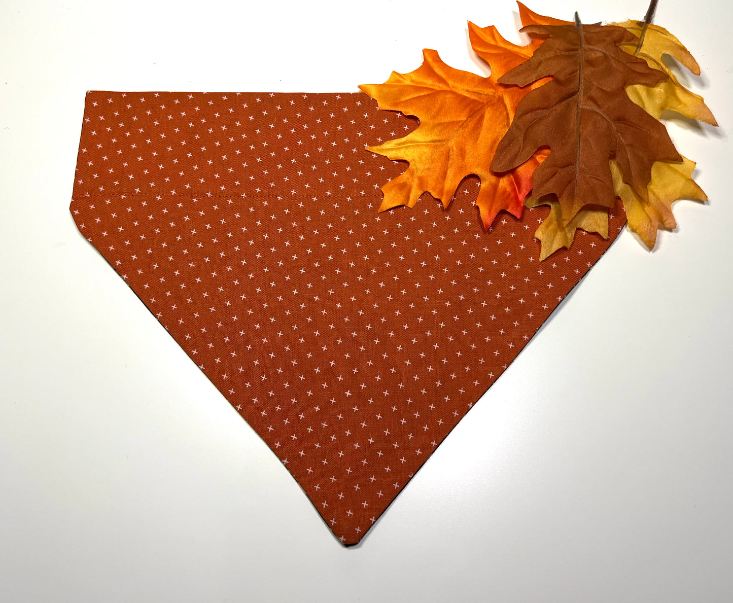 Rust with Cream X on Autumn, Fall Ya'll with Sunflowers & Pumpkins